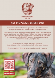 Info Flyer Hundespielplatz A5